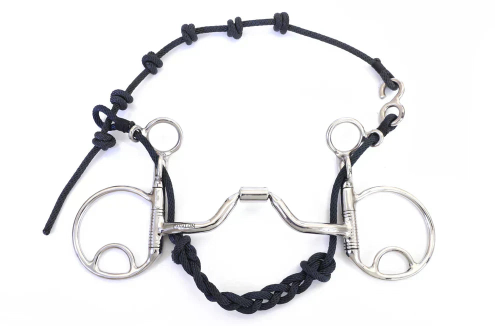 The Baucher Bit: Facts and Benefits for Your Horse