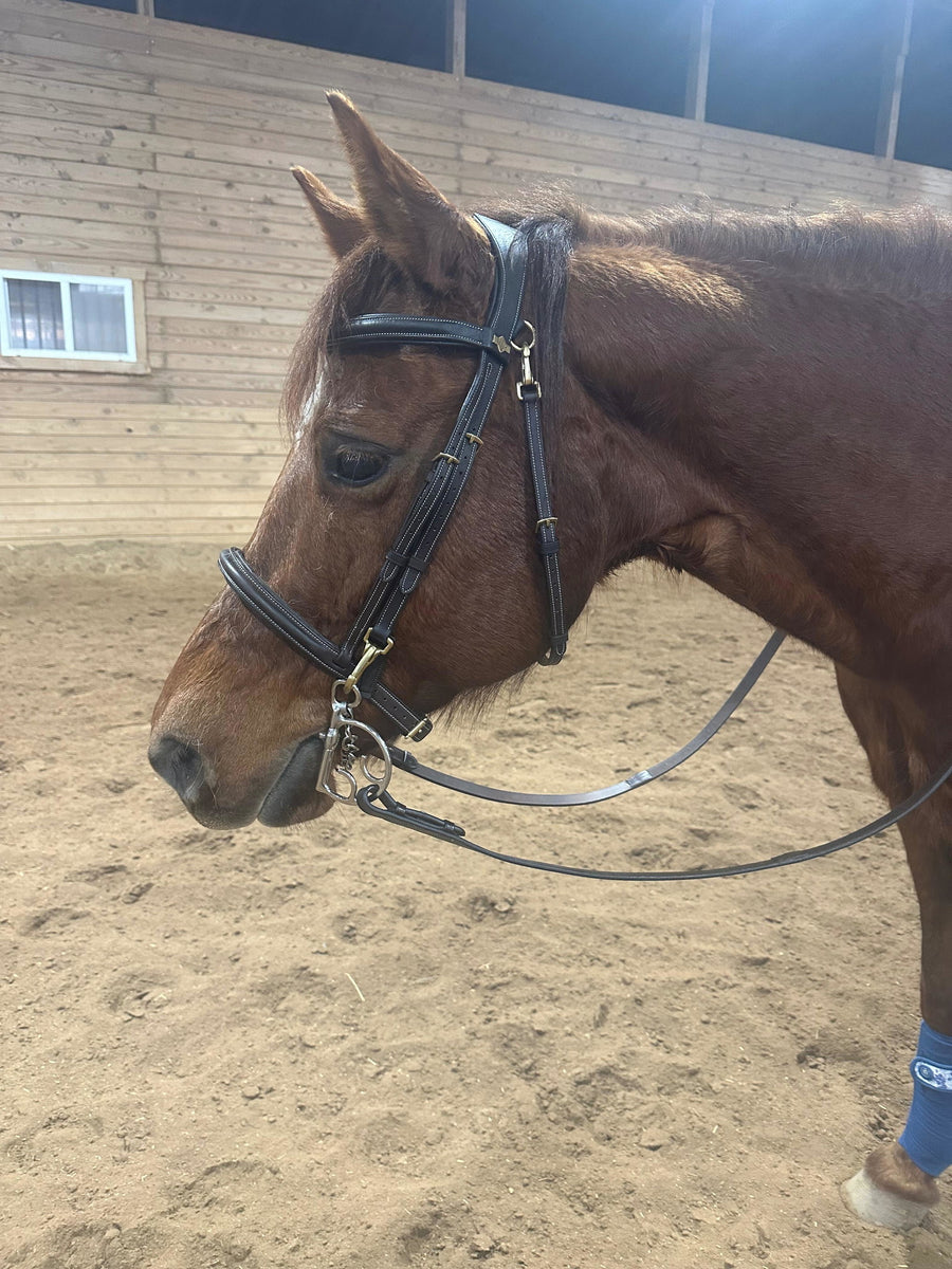 Chestnut horse in a bridle fitted with a Cavalon Kimberwick Low Port Capsule Sweet Iron Curb