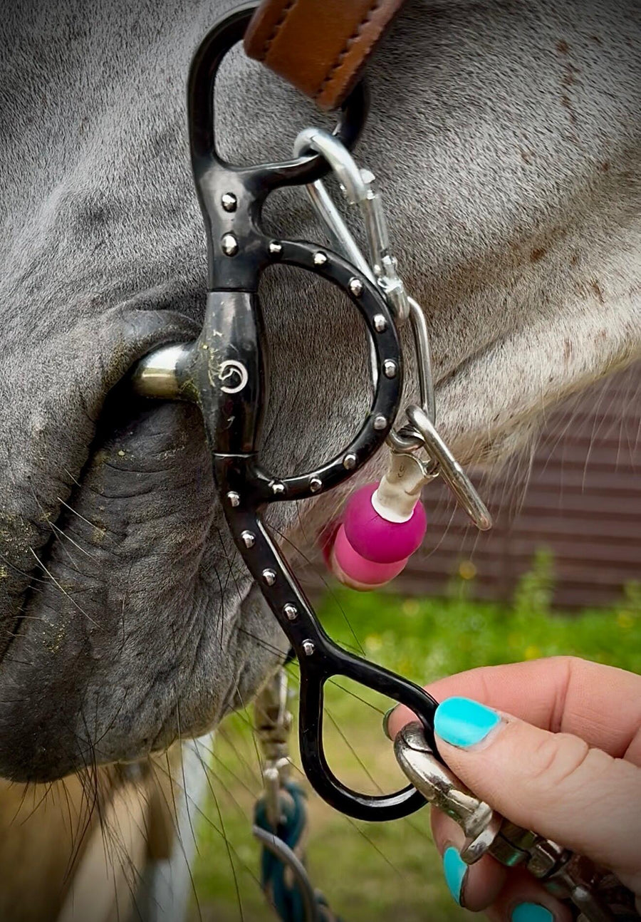 Close-up of a Cavalon Argentine Pivot Cricket Roller Silver Dotted Curb fitted on a grey horse